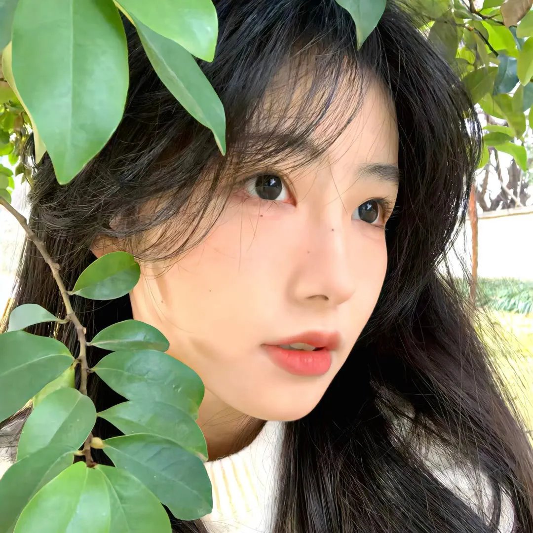 小姑娘艾萝依